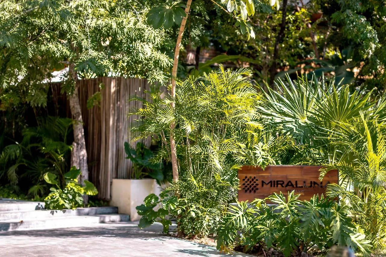 Luxury Penthouse Luum Zama Tulum Apartment