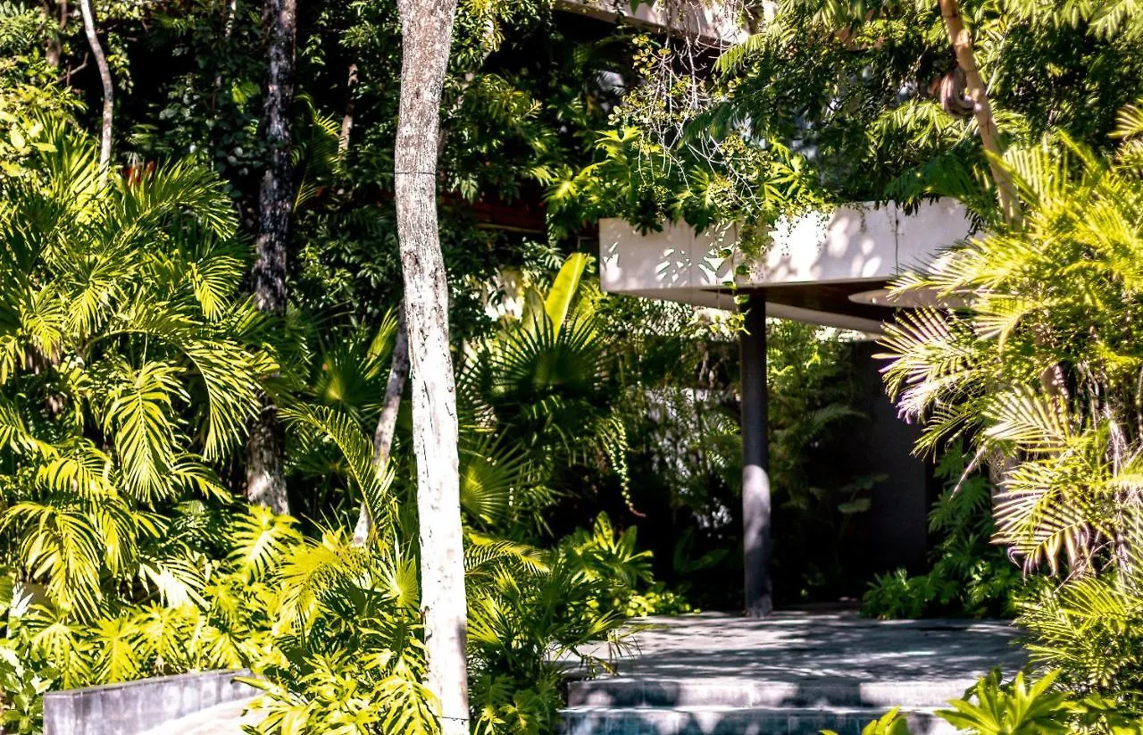 Luxury Penthouse Luum Zama Tulum Apartment 0*,