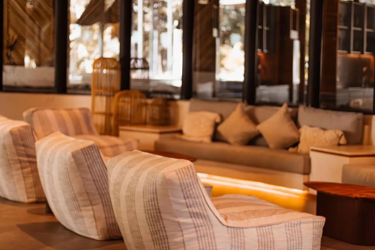 Luxury Penthouse Luum Zama Tulum Apartment Mexico