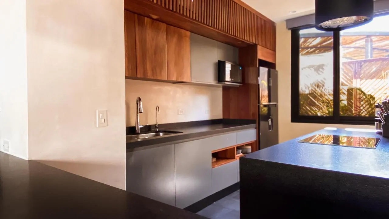 Luxury Penthouse Luum Zama Tulum Apartment