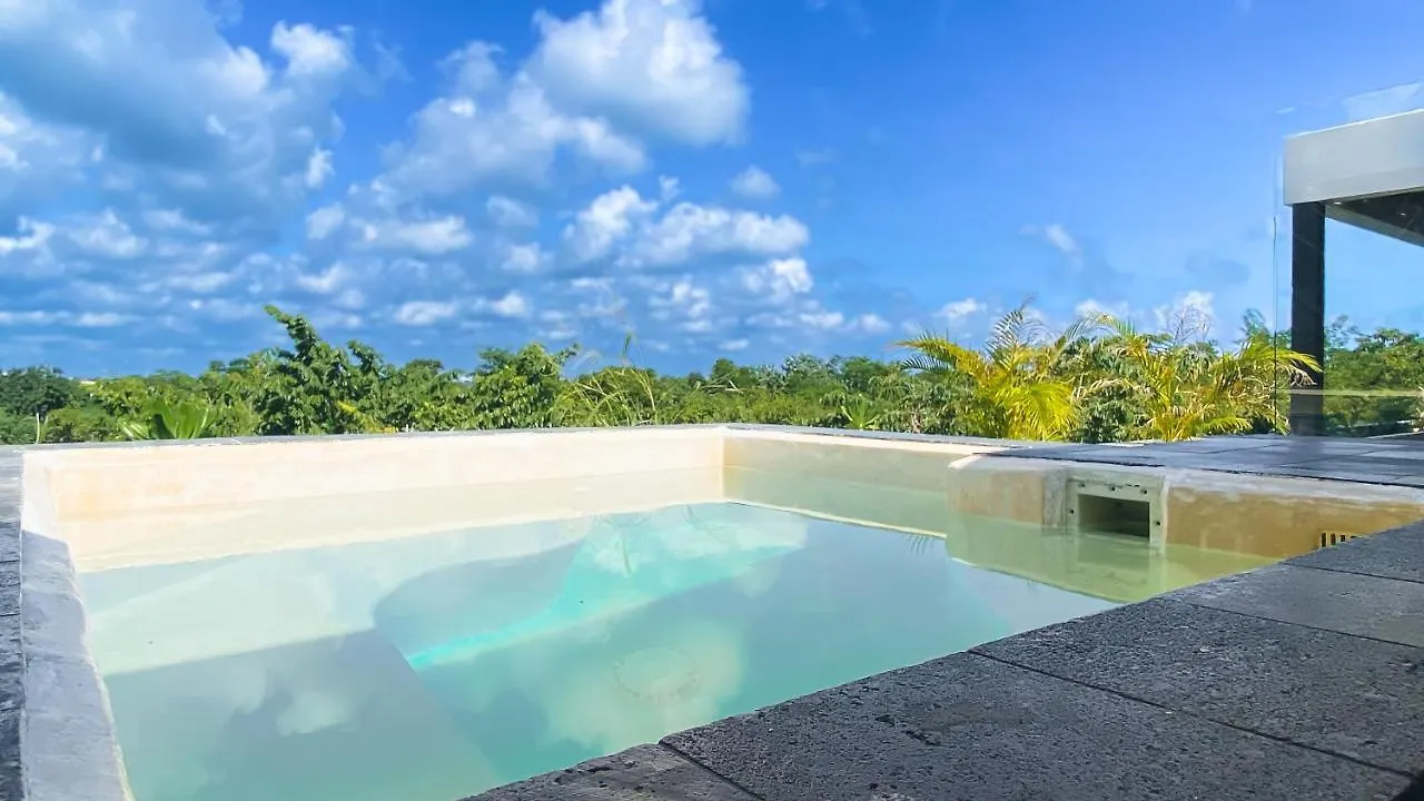 Luxury Penthouse Luum Zama Tulum Apartment