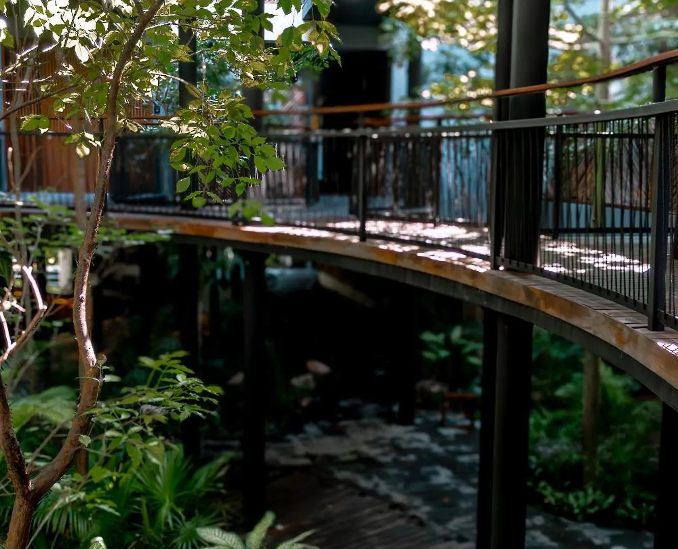 Luxury Penthouse Luum Zama Tulum Apartment